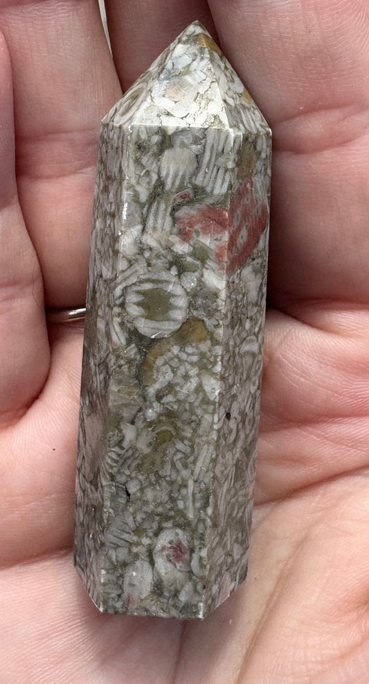 Crinoid Fossil Tower