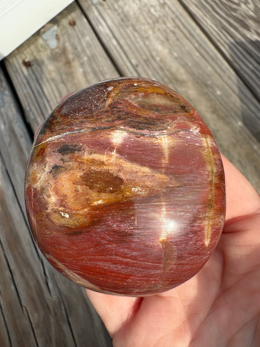 Petrified Wood