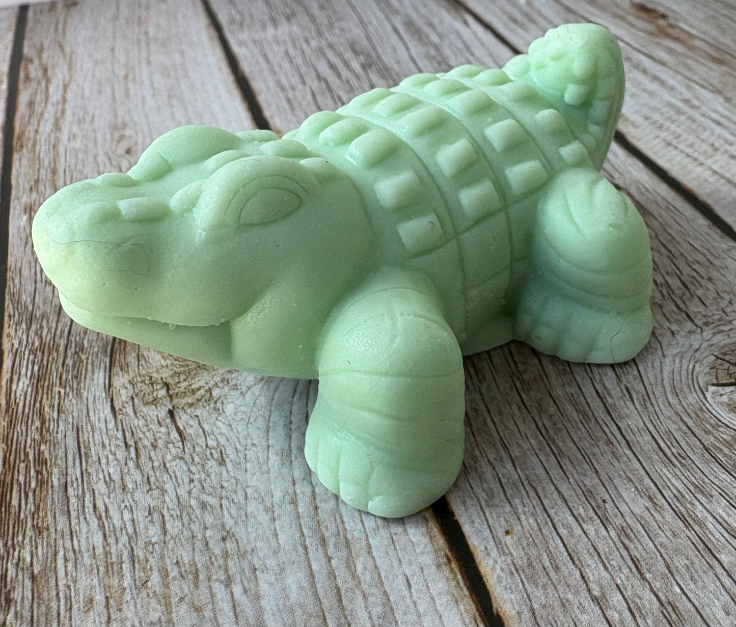 Gilly the Gator 🐊💚 - Soap Bar