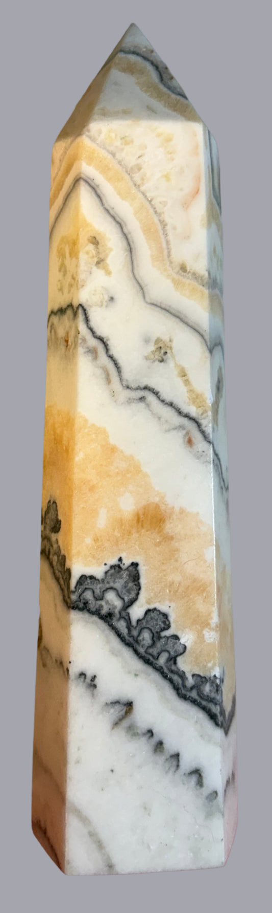 Dendritic Calcite