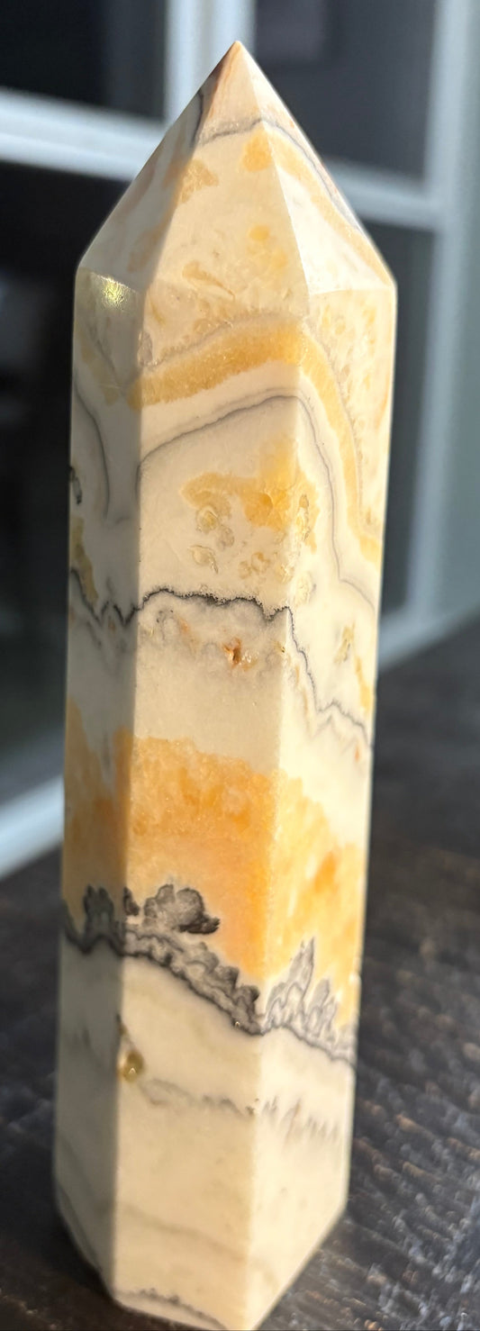 Dendritic Calcite