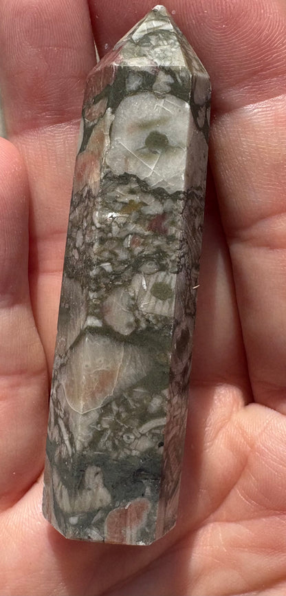 Crinoid Fossil Tower