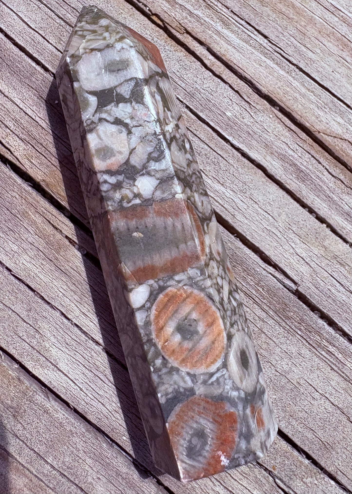 Crinoid Fossil Tower