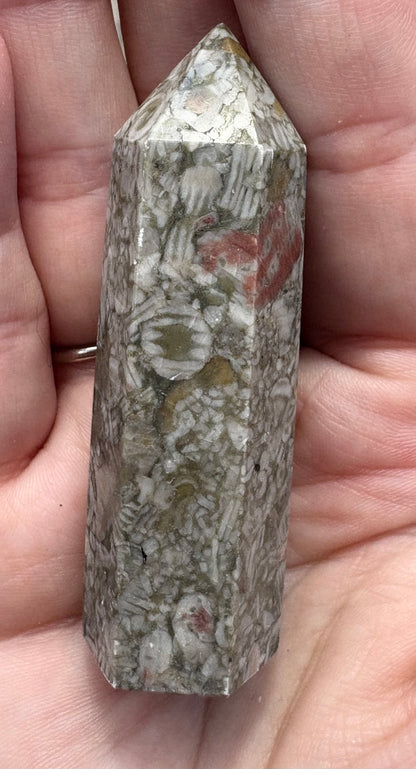 Crinoid Fossil Tower