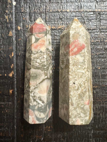 Crinoid Fossil Tower