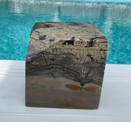 Picture Jasper Cube