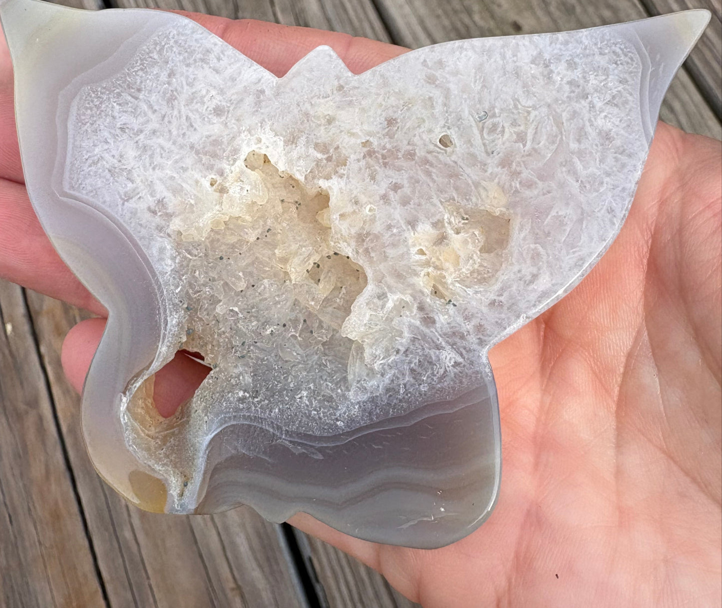 Agate Butterfly Slice